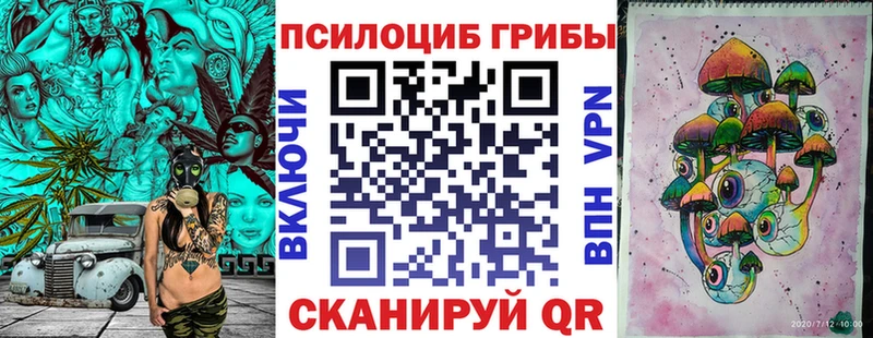 Псилоцибиновые грибы Psilocybe  Муравленко 